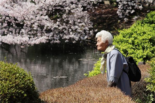 夢見去世奶奶又去世了_周公解夢