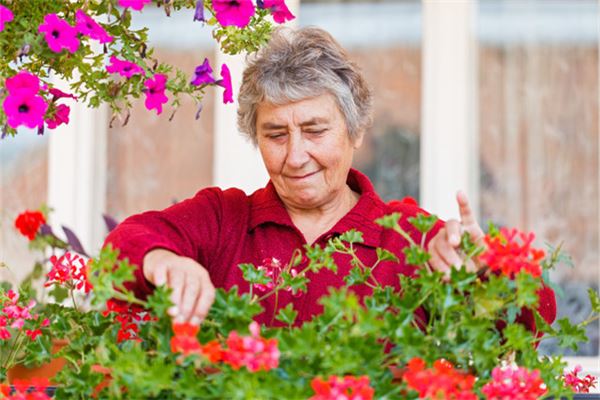 夢到去世的母親_周公解夢