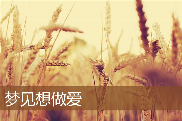 夢見想做愛_周公解夢