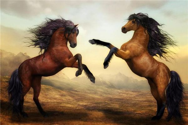 夢見動物攻擊自己是什麼意思_周公解夢