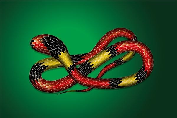 夢見孕婦紅蛇預示什麼_周公解夢