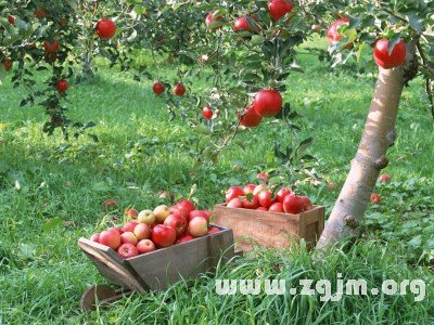 最有投資理財理念的星座_十二星座