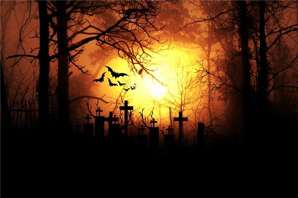 夢見打死蝙蝠_周公解夢