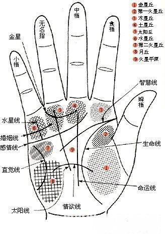 看你手中有沒有富貴吉祥的符號