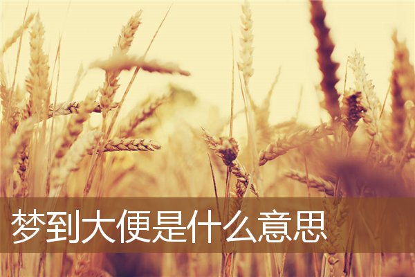 夢到大便是什麼意思_周公解夢