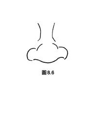 繼室鼻