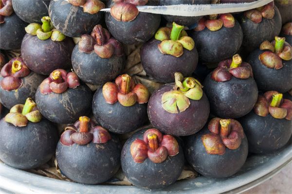 夢見山竹_周公解夢