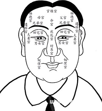 面相上的青筋怎么看 青筋與命運的解說_看相大全