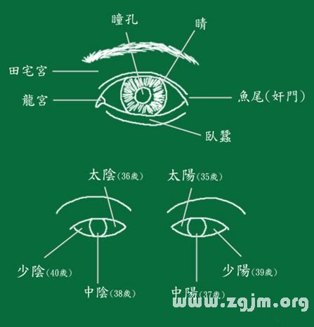 峰生水起面相學：第10課 眼睛看相_看相大全