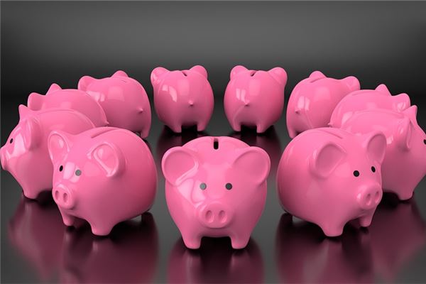 夢到豬是什麼預兆_周公解夢