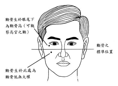 顴骨面相算命圖解