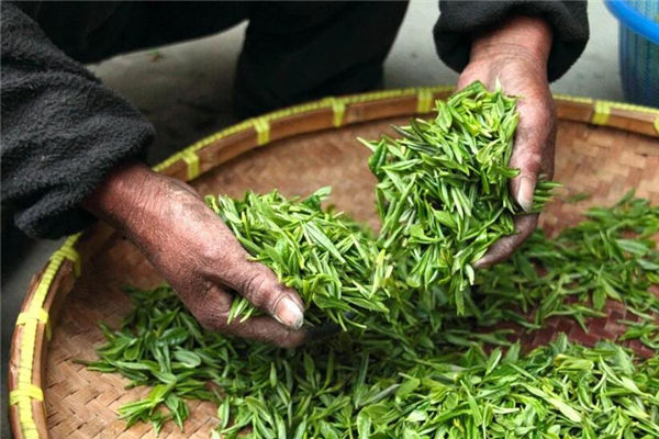 夢見茶葉是什麼兆頭_周公解夢
