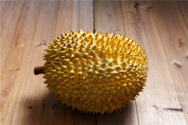 夢見榴槤是胎夢嗎_周公解夢