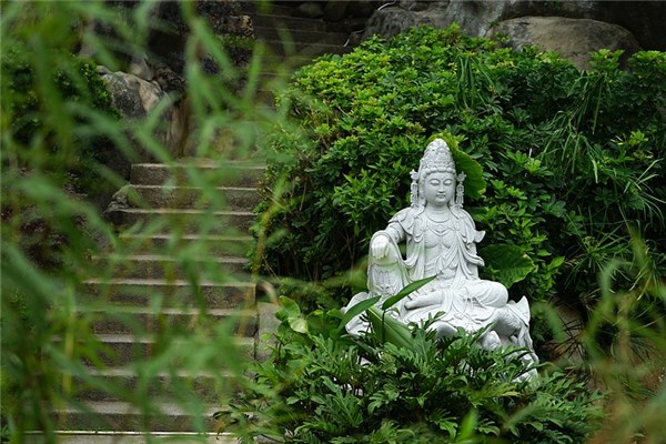 夢到佛像動怎么回事_周公解夢