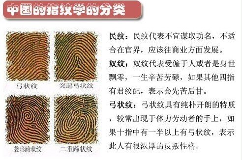 中國指紋學的分類