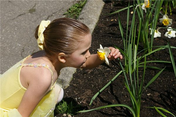 夢到了窺探代表什麼_周公解夢