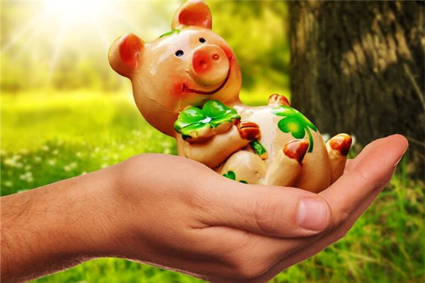 生肖豬出生年份表_十二生肖