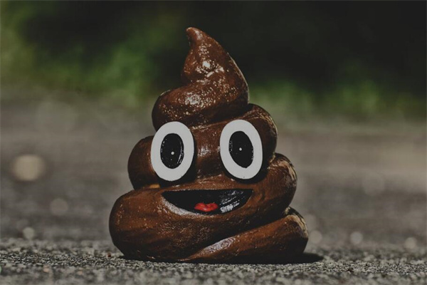 夢見夢大便代表著什麼？_周公解夢