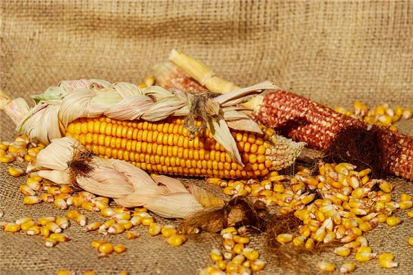 孕婦夢見玉米粒_周公解夢 孕婦夢見玉米粒是什麼意思_孕婦夢見玉米粒好不好_周公解夢官網