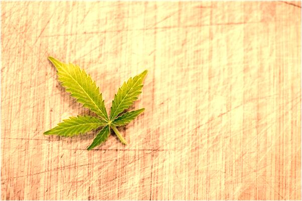 夢到了試穿新意會怎么樣_周公解夢官網