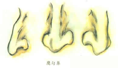 鼻子大就會有財運嗎 什麼樣的鼻子有財運