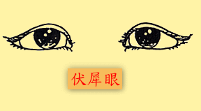 眼睛：伏犀眼