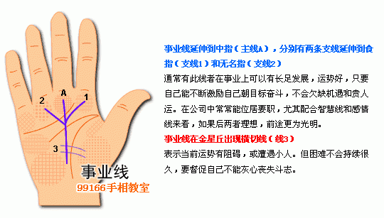 手相圖解大全：6、事業線看工作運_看相大全