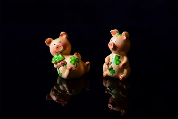 屬豬的出生年份和性格如何_十二生肖