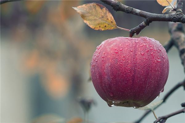 夢到大紅蘋果是怎么回事_周公解夢