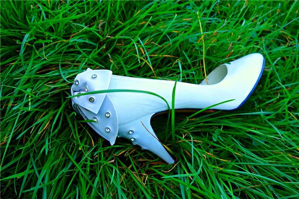 夢見一隻鞋丟了_周公解夢