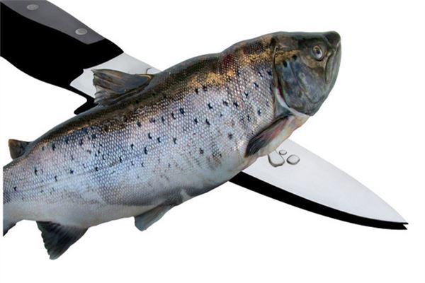 夢見自己殺魚_周公解夢