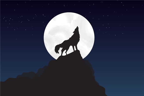 夢見狼是什麼預兆_周公解夢
