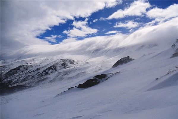 夢到大雪覆蓋大地_周公解夢
