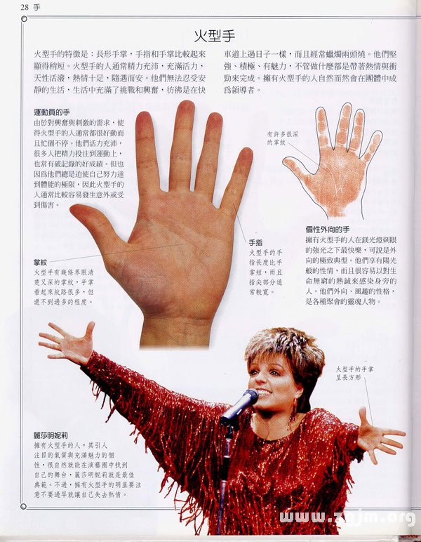 《手相學習百科》：手的形狀