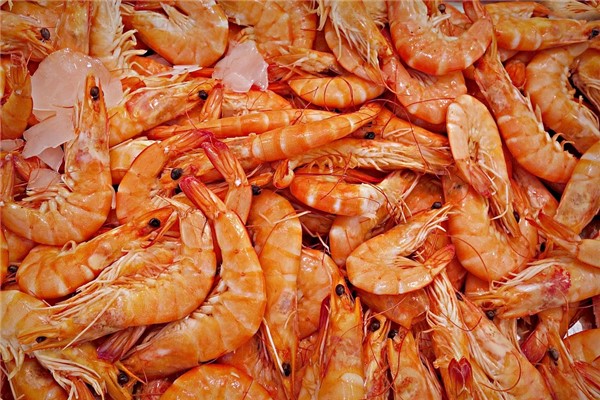 夢見撈魚蝦有什麼說法_周公解夢