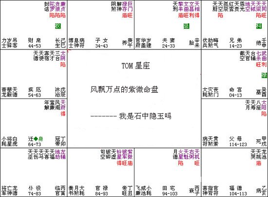 紫微斗數入門教程：010、風飄萬點的紫微命盤_免費算命