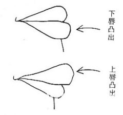 女人相學——命運相