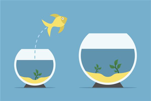 夢見魚缸破了_周公解夢