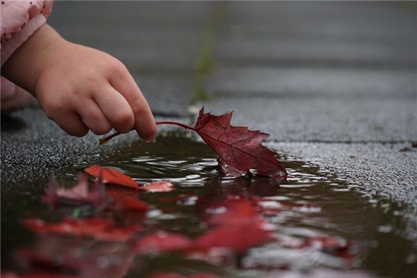 夢見地上有水_周公解夢