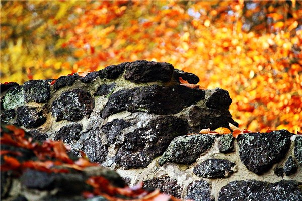 夢到了鐵礦石有什麼寓意嗎？_周公解夢