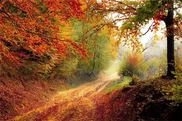 女人夢見找路_周公解夢