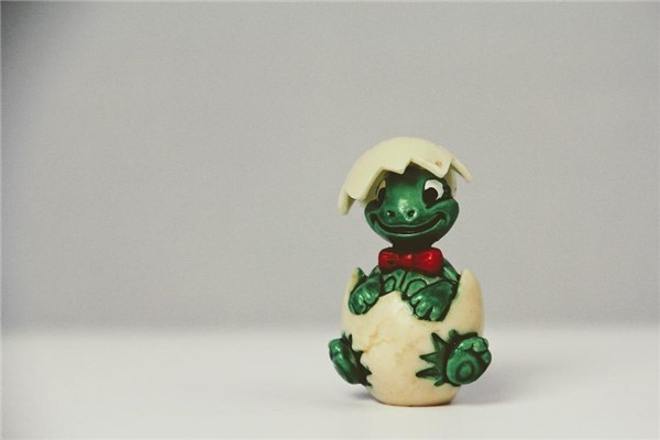 夢見龜蛋意味著什麼_周公解夢
