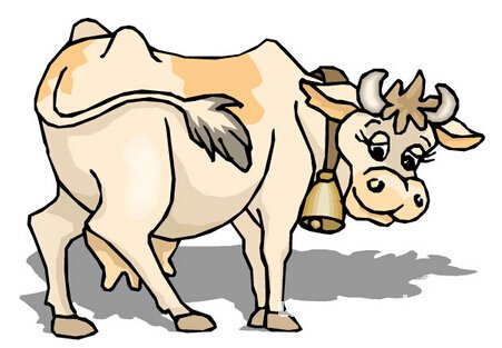 屬牛的人2016年運程詳解_生肖運勢