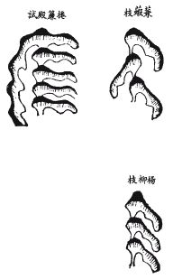 《地理啖蔗錄》卷一 豐城袁守定叔論著並釋_風水知識