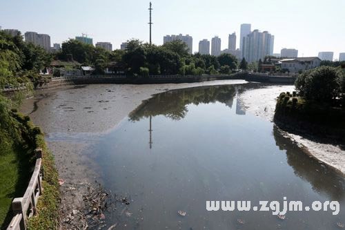 夢見湖水發臭