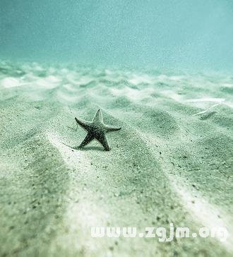 雙魚座閨蜜的危險指數_十二星座