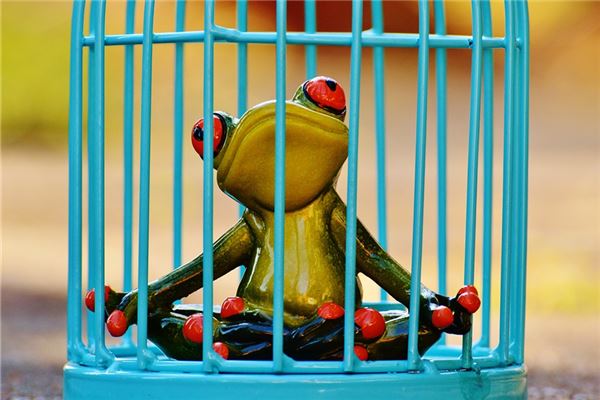 夢見自己要去服刑_周公解夢