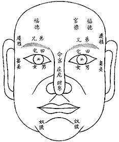 面相分析：13、十二命宮圖_看相大全