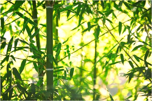 夢到了領養小孩是什麼徵兆_周公解夢官網