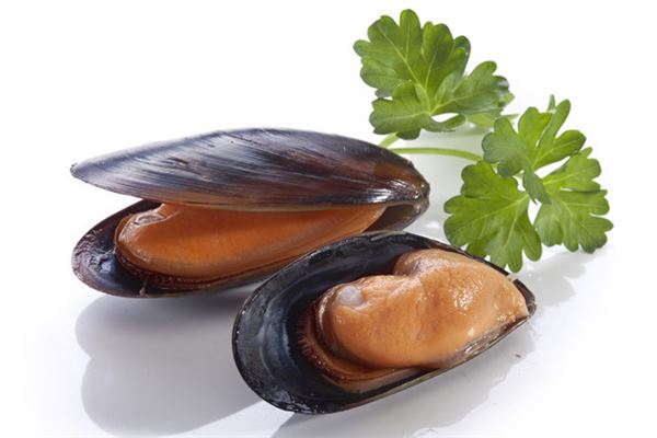 夢見好大的蚌_周公解夢